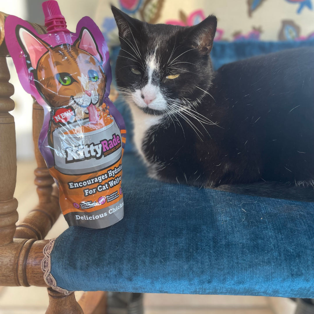 Cat kidney treats store