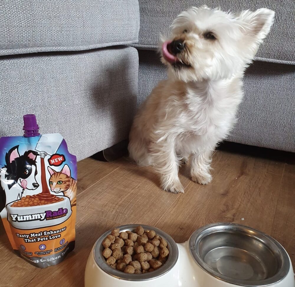 YummyRade – improve your pet’s appetite and digestion