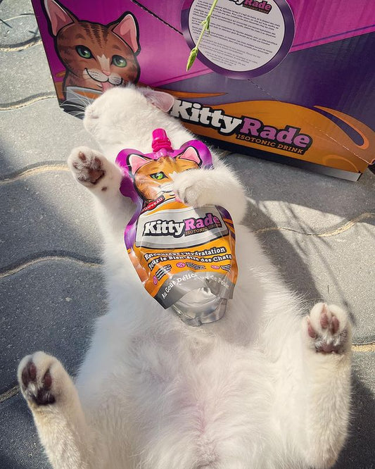 KittyRade & YummyRade now available in Fressnapf Stores across Germany