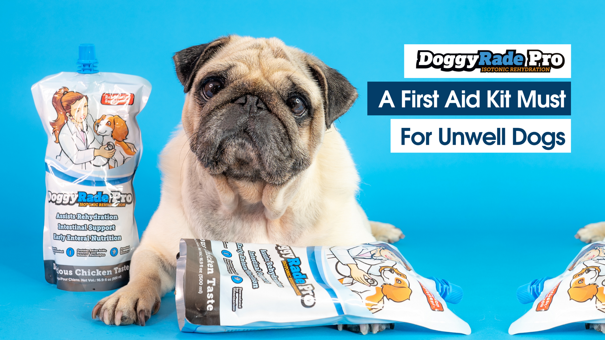 A must in the first aid kit of every dog owner in case of mild gastrointestinal disorders