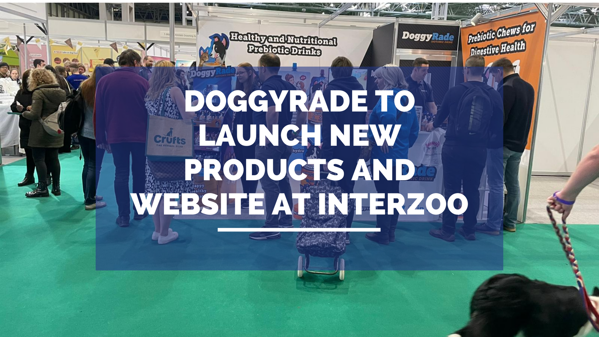DoggyRade to Launch New Products and Website at Interzoo