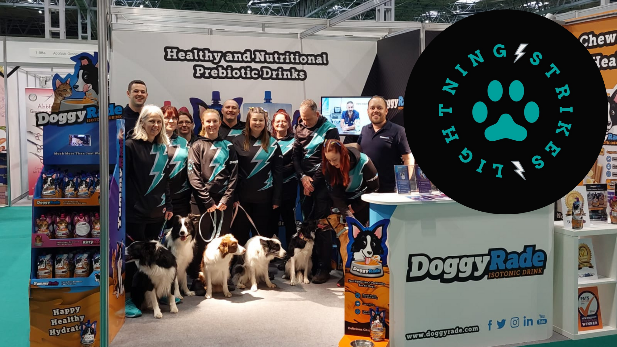 Lightning Strikes Flyball Team Powered by DoggyRade
