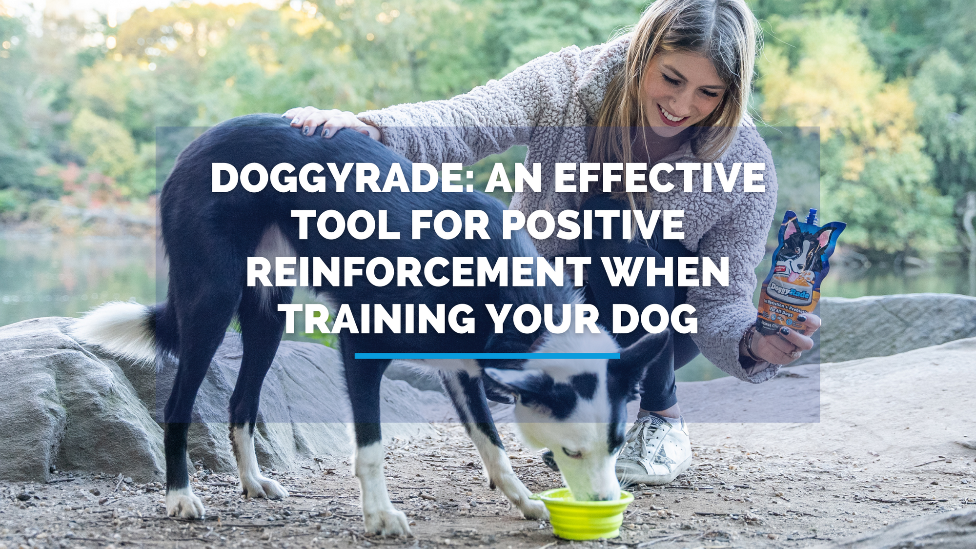 DoggyRade: An Effective Tool for Positive Reinforcement Training for Your Dog