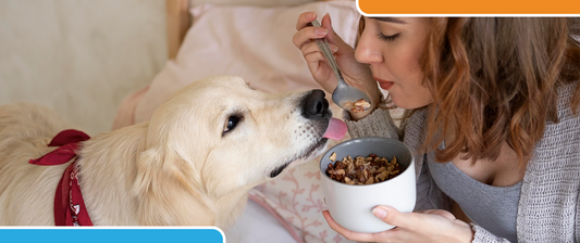 The Importance of Prebiotics for Humans and Pets Alike