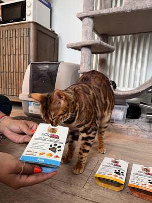 Bocaditos de pescado para gatos, con prebióticos y superalimentos