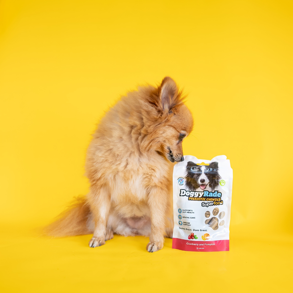 Molde de silicona para comida de perro, Disponible en DoggyRade