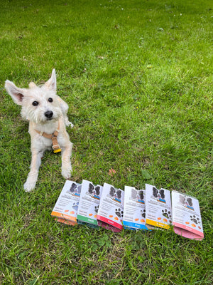 Fish Snacks for Dogs - with Prebiotics and Superfood