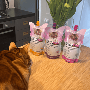 Salmon Prebiotic Drink for Cats