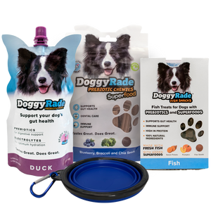 DoggyRade Gut Health Starter Pack