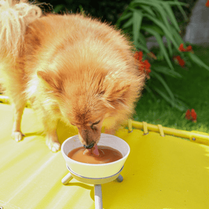 Bebida prebiótica de pato para perros – 500 ml