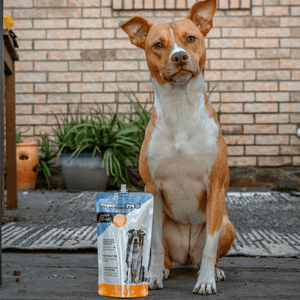 Pollo - Bebida de Apoyo Intestinal Avanzada para Perros