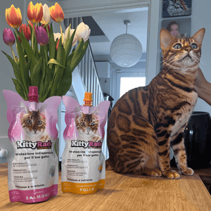 Boisson Prébiotique au Poulet pour Chats