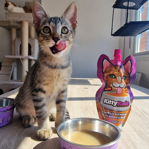 Bevanda prebiotica per gatti - Pollo