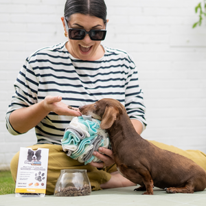 Snack di carne per cani con prebiotici e superfood - Tacchino