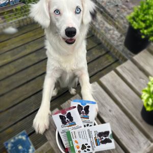 Entenfleisch-Snacks für Hunde - mit Präbiotika und Superfoods